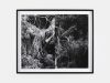 Framed black and white photograph. The photograph is made of two panels and depicts tree roots in high contrast.